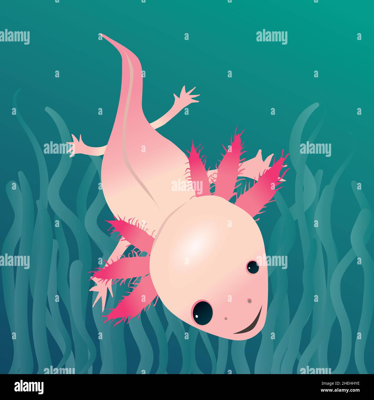 Dessin vectoriel numérique d'un axolotl.Ses yeux sont inégaux.La salamandre nageait dans l'eau avec un fond aquatique coloré. Illustration de Vecteur