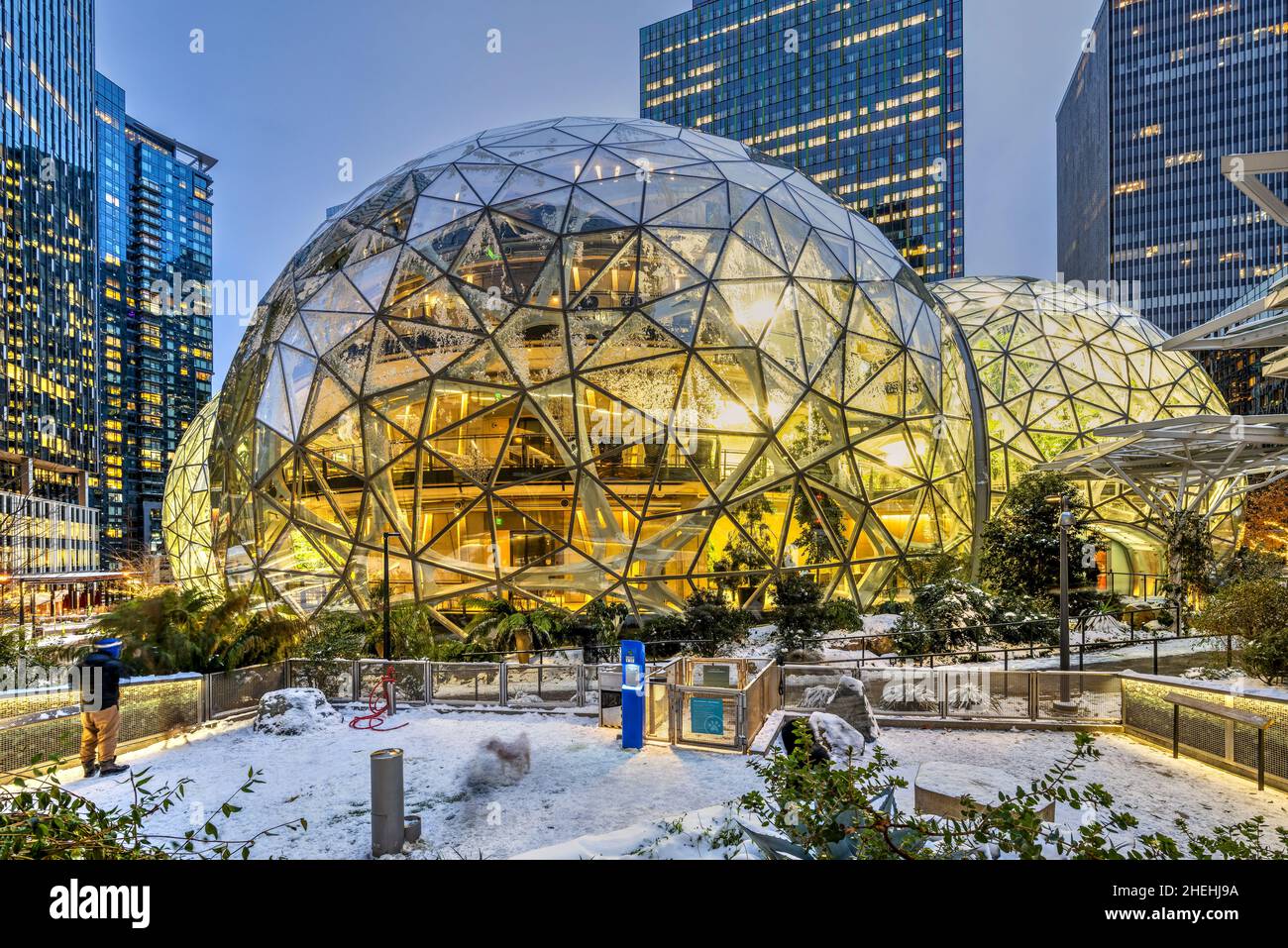 Amazon Spheres sur le campus du siège d'Amazon, Seattle, Washington, États-Unis Banque D'Images
