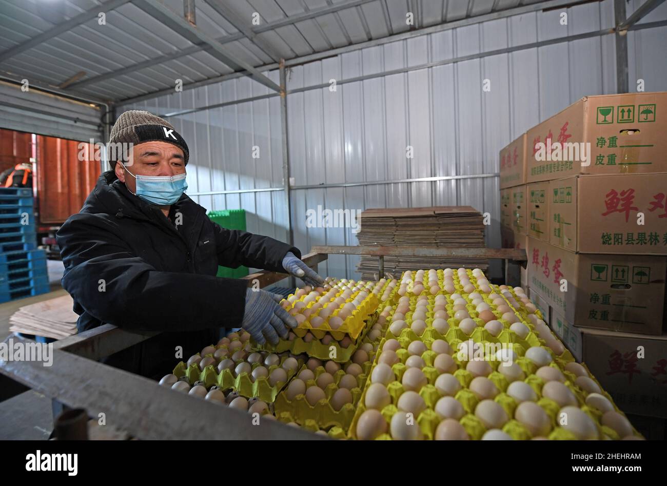 (220111) -- TIANJIN, le 11 janvier 2022 (Xinhua) -- Un travailleur trie les œufs sur un marché de Tianjin, dans le nord de la Chine, le 11 janvier 2022.La municipalité de Tianjin en Chine du Nord, qui a été témoin de la dernière résurgence de la COVID-19, a lancé un mécanisme d'intervention d'urgence pour garantir l'approvisionnement en produits de première nécessité quotidiens.selon le bureau de commerce municipal de Tianjin, les autorités locales ont mobilisé les principaux fournisseurs de gros,supermarchés et marchés des légumes pour ajouter des stocks afin de faire face à la demande du marché pour la viande, les oeufs et les légumes.Actuellement, les principaux marchés de gros de la ville pour agricole pro Banque D'Images