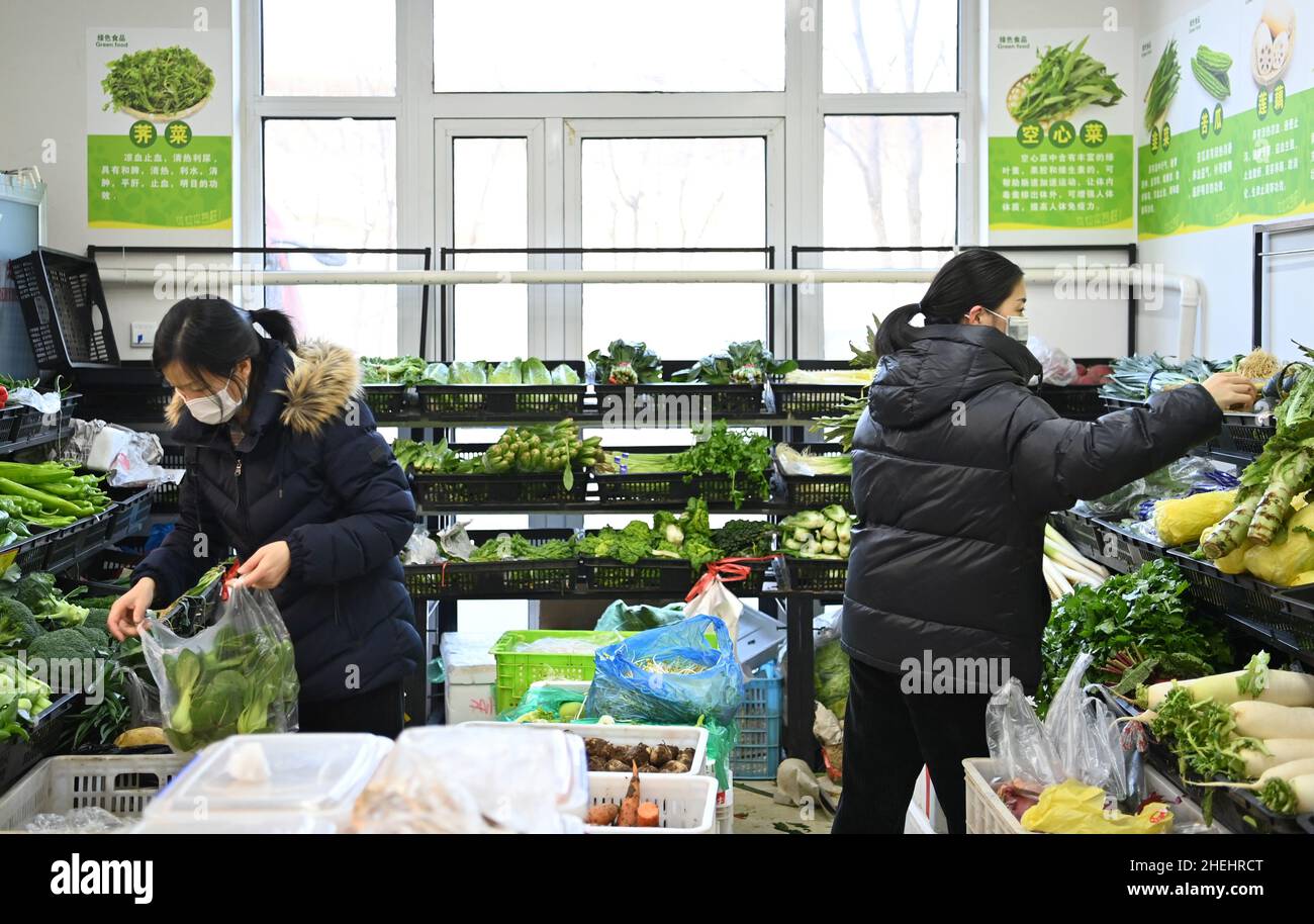 (220111) -- TIANJIN, le 11 janvier 2022 (Xinhua) -- les résidents sélectionnent des légumes dans un magasin du nord de la Chine, Tianjin, le 11 janvier 2022.La municipalité de Tianjin en Chine du Nord, qui a été témoin de la dernière résurgence de la COVID-19, a lancé un mécanisme d'intervention d'urgence pour garantir l'approvisionnement en produits de première nécessité quotidiens.selon le bureau de commerce municipal de Tianjin, les autorités locales ont mobilisé les principaux fournisseurs de gros,supermarchés et marchés des légumes pour ajouter des stocks afin de faire face à la demande du marché pour la viande, les oeufs et les légumes.Actuellement, les principaux marchés de gros de la ville pour l'agriculture Banque D'Images