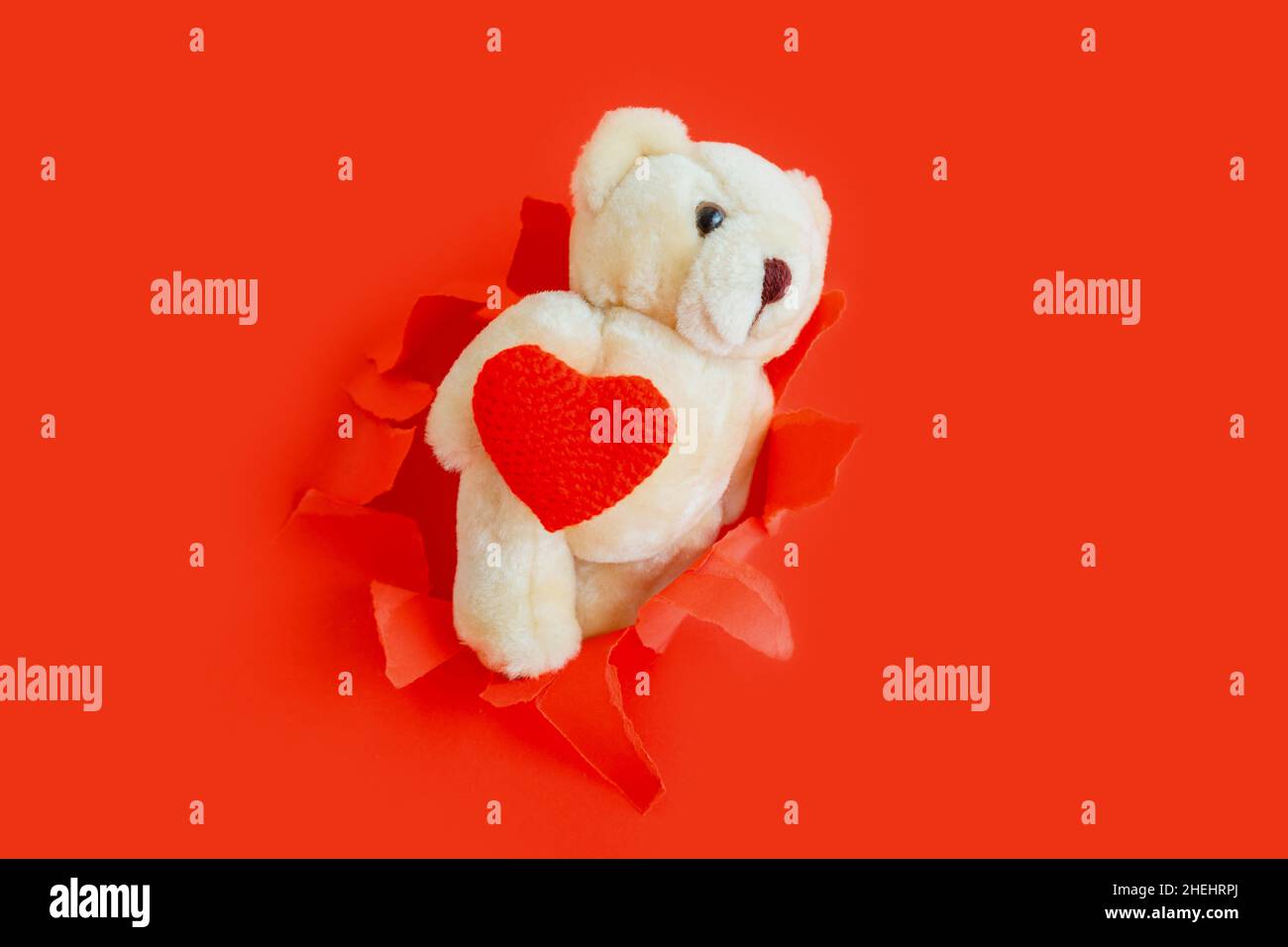 L'ours en peluche sort des trous de papier déchirés avec le symbole coeur d'amour pour la Saint-Valentin isolé sur fond rouge.Ours en peluche tenant un mug rouge Banque D'Images