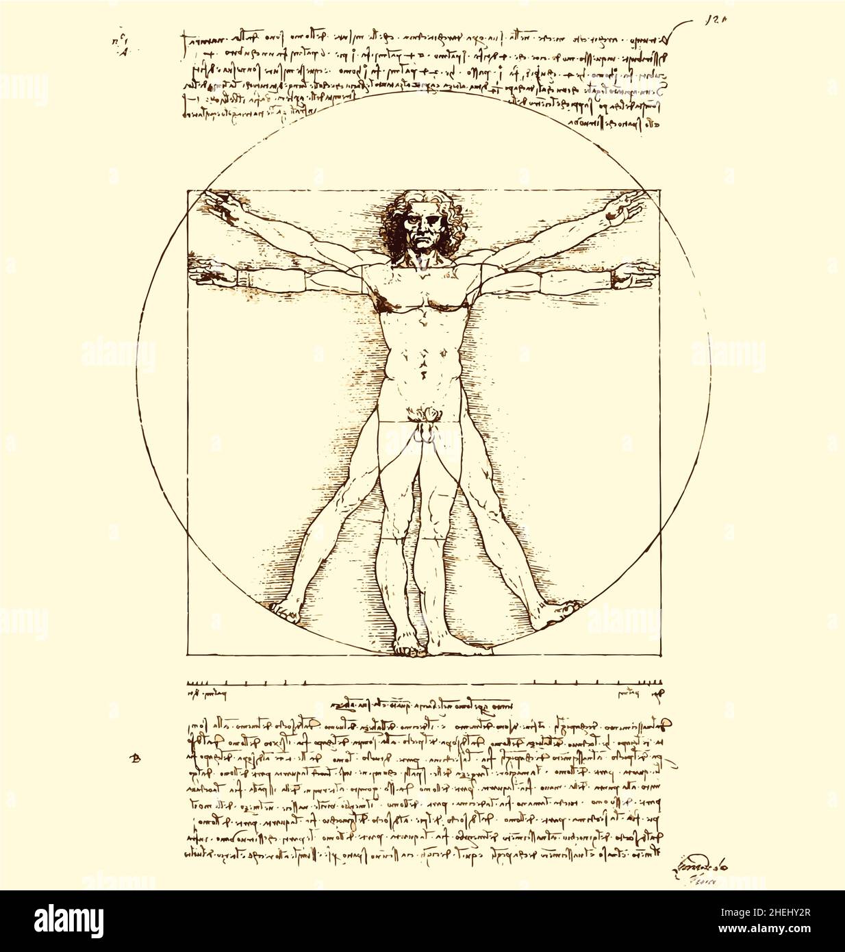 leonardo da vinci vitruvian encre homme croquis avec page de texte vecteur détaillé isolé sur fond beige Illustration de Vecteur
