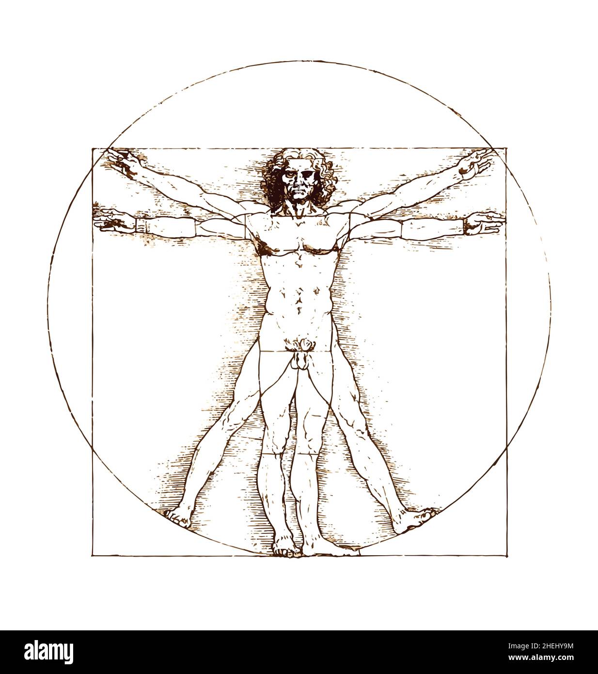 leonardo da vinci vitruvian encre homme page d'esquisse vecteur détaillé isolé sur fond blanc Illustration de Vecteur