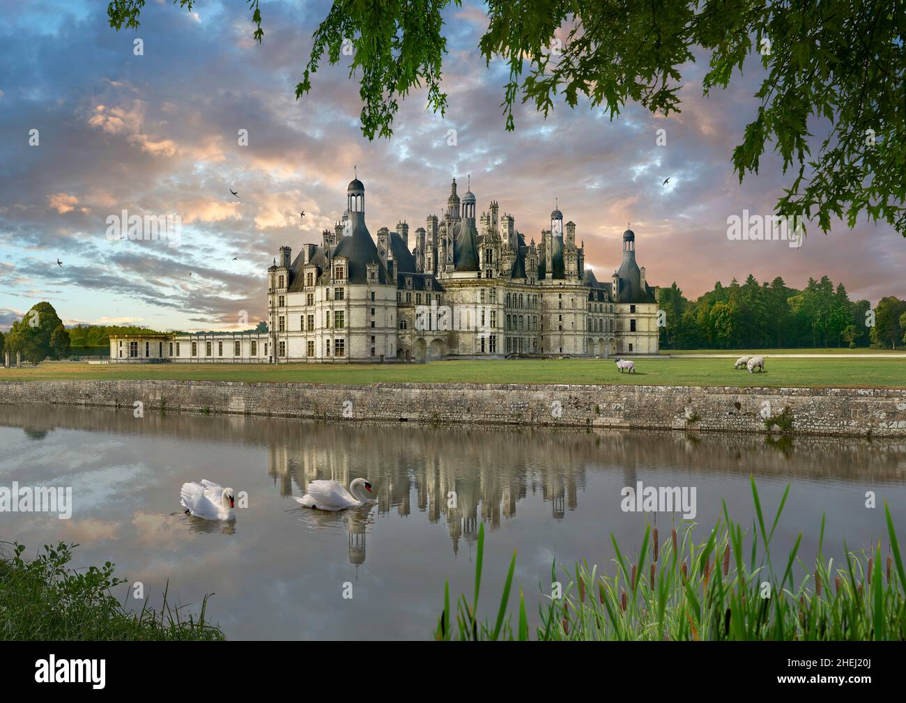 Le Château de Chambord, Centre-Val de Loire, un château de la Renaissance française (1519-1547).Chambord est le plus grand château de la vallée de la Loire; il était Banque D'Images
