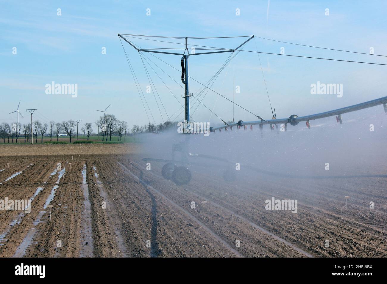 Système d'irrigation pour l'arrosage fonctionnel des plantes agricoles.Prévention de la sécheresse.Système de gicleurs. Banque D'Images