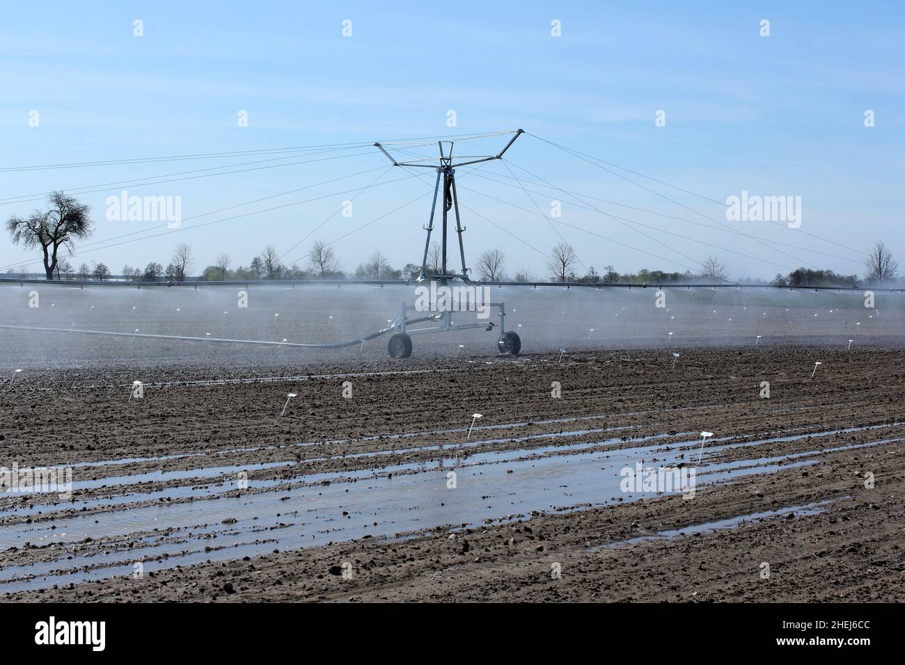 Système d'irrigation pour l'arrosage fonctionnel des plantes agricoles.Prévention de la sécheresse.Système de gicleurs. Banque D'Images