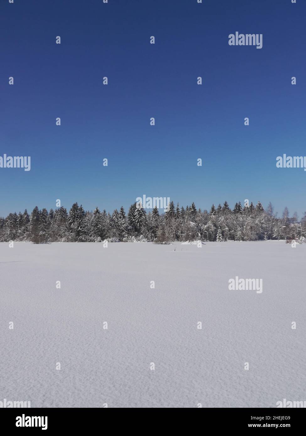 Paysage hiver neige Banque D'Images