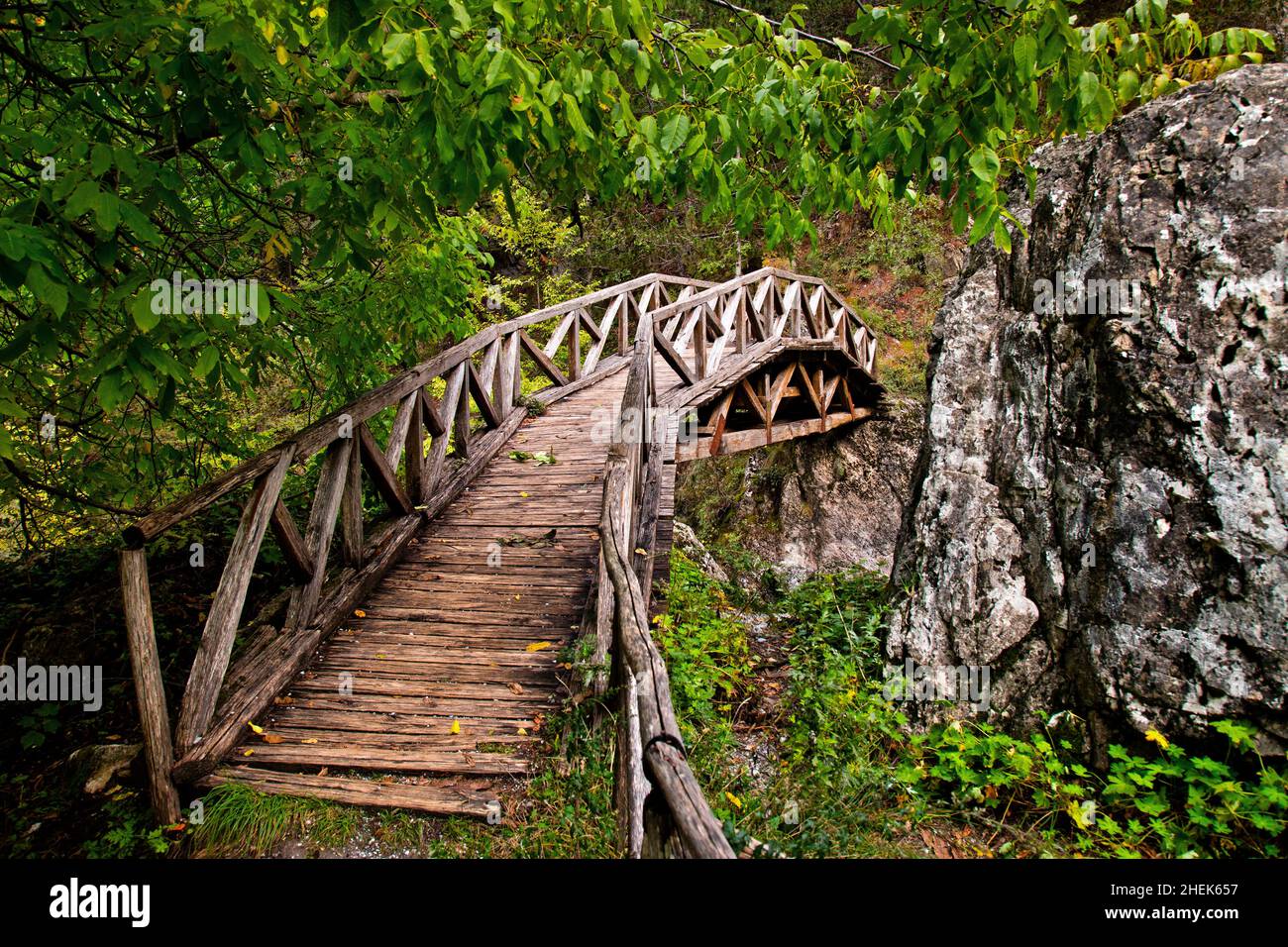 Pont en bois sur la rivière Enipeas, près de Prionia, Olympus montagne Pieria, Macédoine centrale, Grèce. Banque D'Images