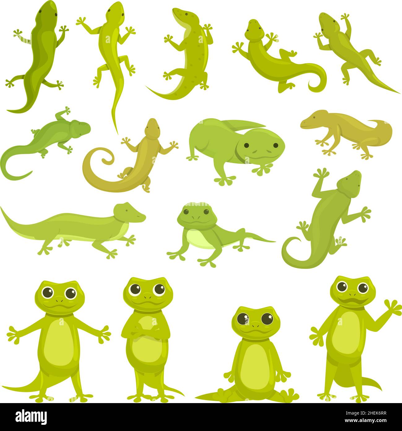 Vecteur de dessin animé d'icône Gecko.Animal caméléon.Lézard amphibien Illustration de Vecteur