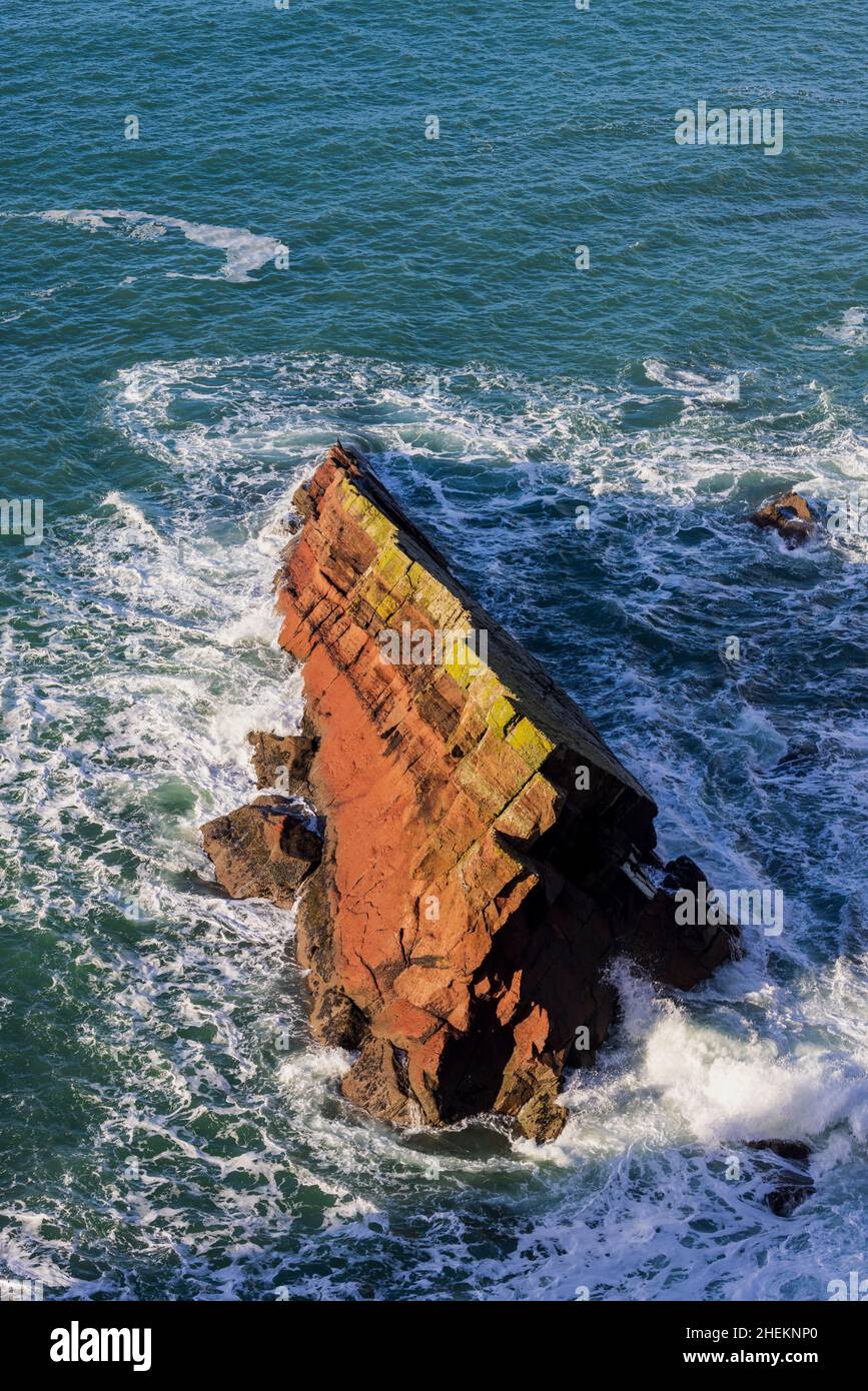 Les couches sédimentaires de grès des falaises le long du chemin de la côte de Pembrokeshire à la baie de St brides, au sud du pays de Galles Banque D'Images