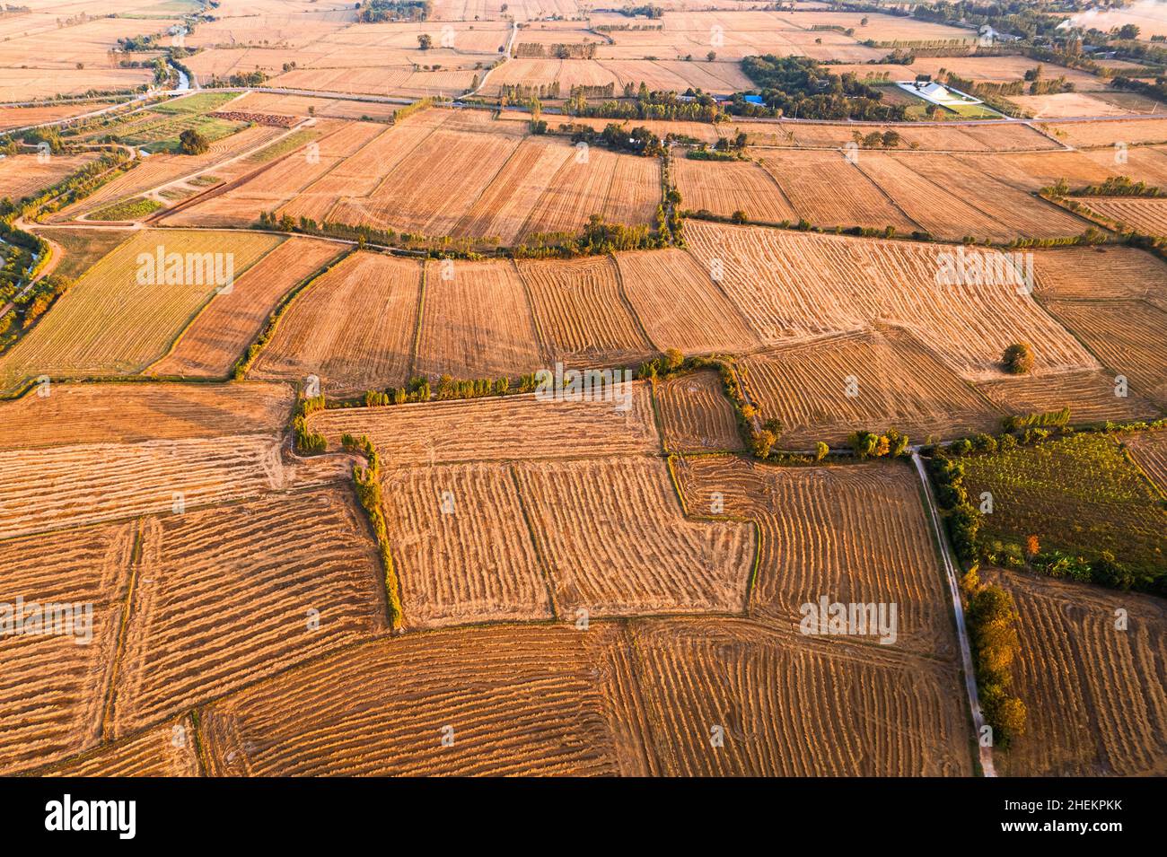 Vue aérienne des champs agricoles arides avec canal d'irrigation dans les terres agricoles à la campagne Banque D'Images