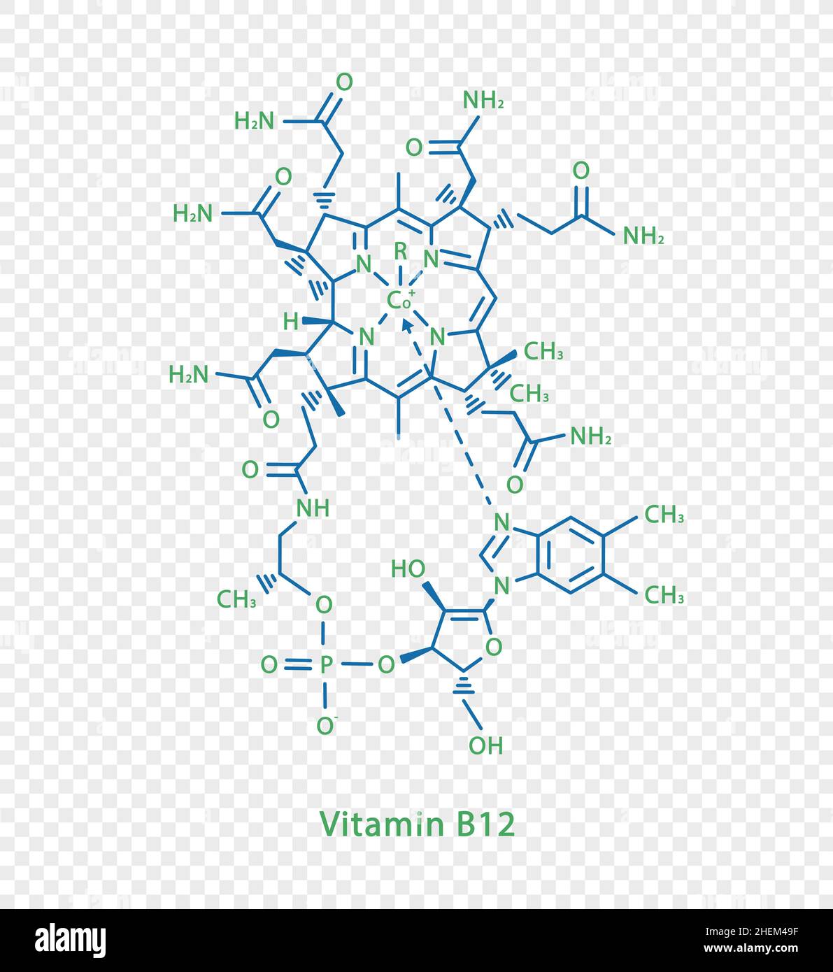 Formule chimique de la vitamine B12.Formule chimique structurale de vitamine B12 isolée sur fond transparent. Illustration de Vecteur