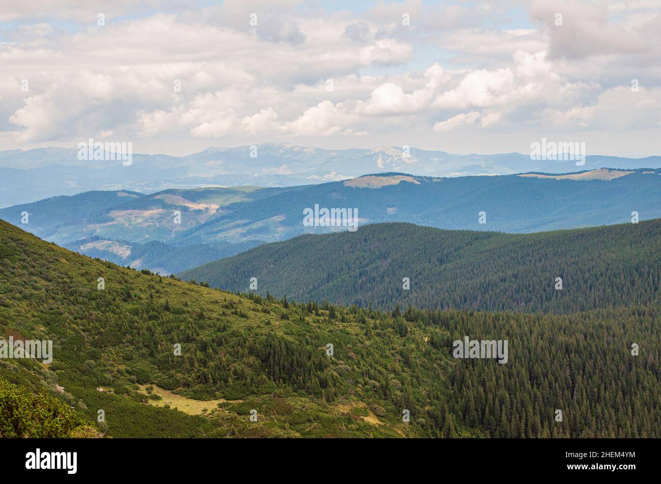 Un paysage de montagne à multiples facettes, un espace volumétrique avec une brume atmosphérique.Montagnes carpathes couvertes de forêt. Banque D'Images