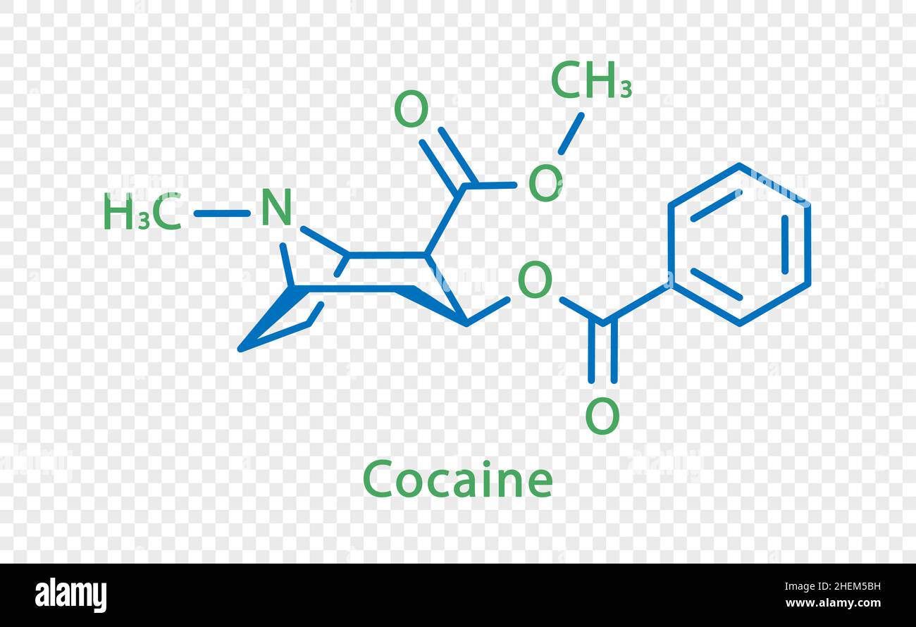 Formule chimique de cocaïne.Formule chimique structurale de cocaïne isolée sur fond transparent. Illustration de Vecteur