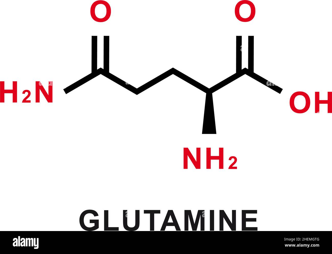 Formule chimique de glutamine.Structure moléculaire chimique de la