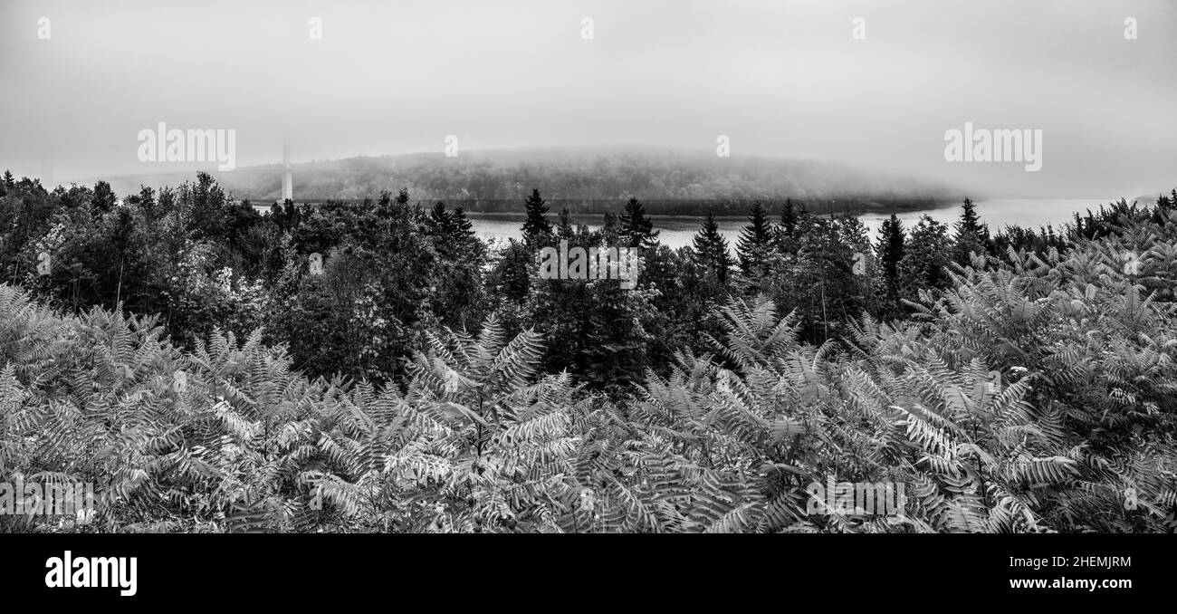 Paysage brumeux dans les couleurs de l'été indien à Prospekt, Maine, Etats-Unis Banque D'Images