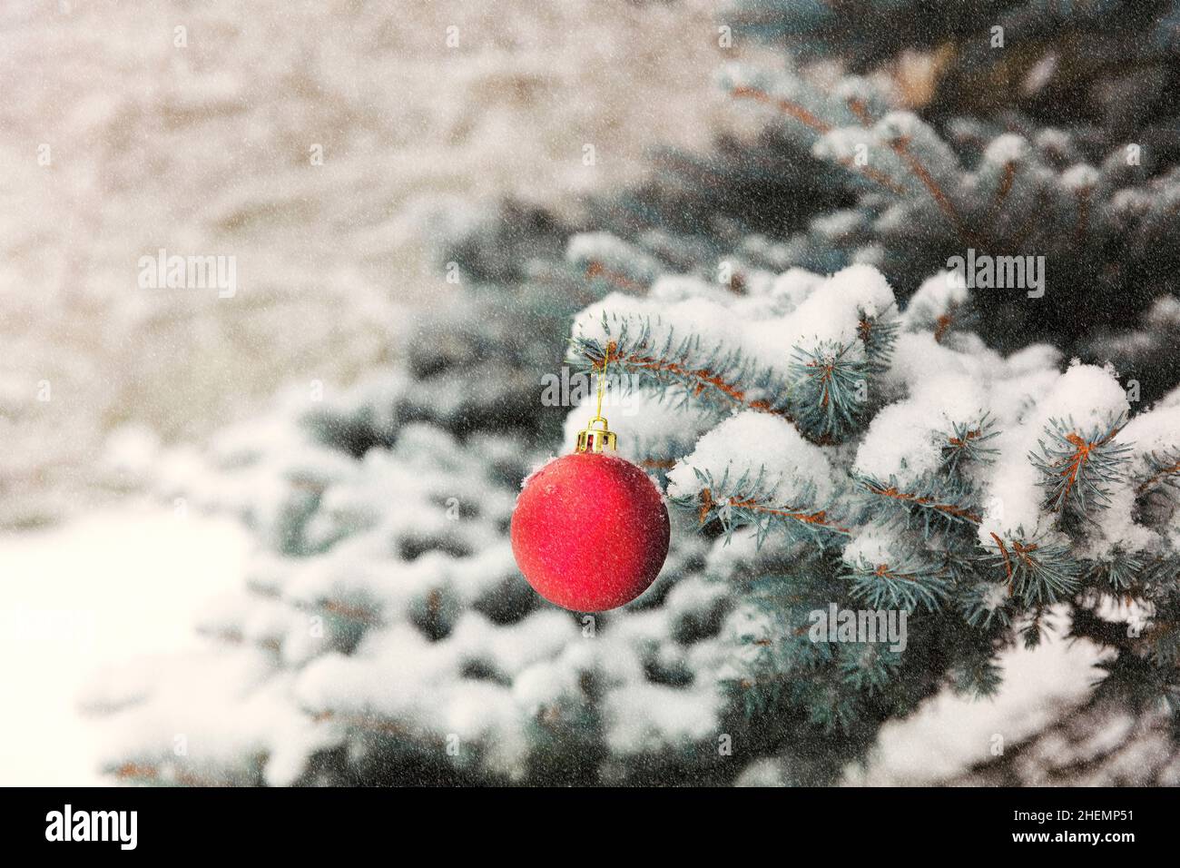 Sapin de Noël extérieur recouvert de neige avec gros plan d'un ornement rouge et or pour le concept de Noël ou du nouvel an avec un look vintage Banque D'Images