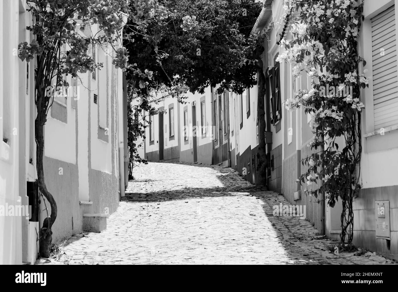 Sur les ruelles étroites de Ferragudo, Algarve, Portugal, Europe Banque D'Images