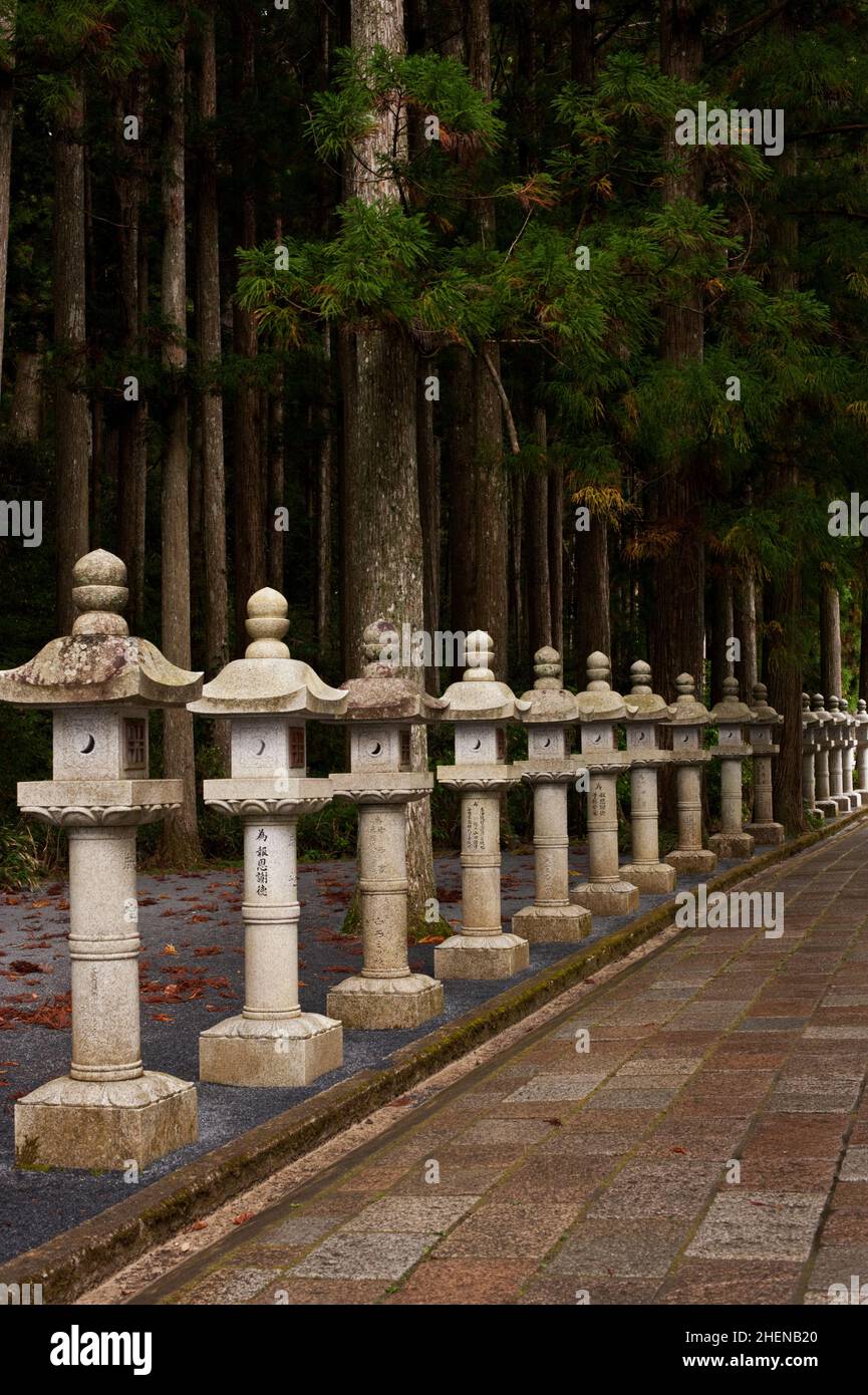 Une ligne de lanternes en pierre marque le côté du chemin au Mont Koya, au Japon. Banque D'Images