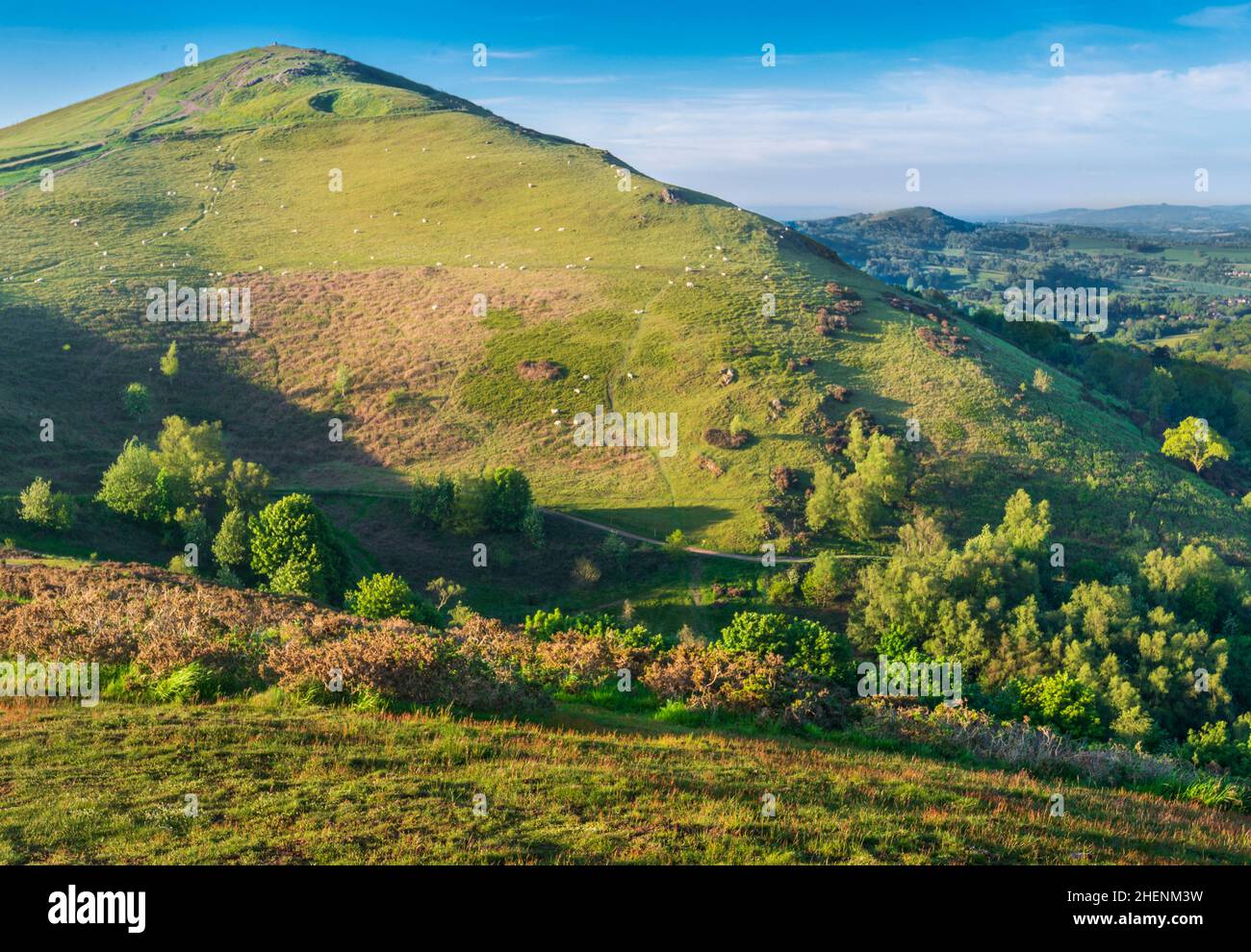Couvert d'herbe verdoyante et baigné de soleil d'été.Les chemins publics sillonent la sellerie ondulée, dans différentes directions s'étendant le long de Banque D'Images