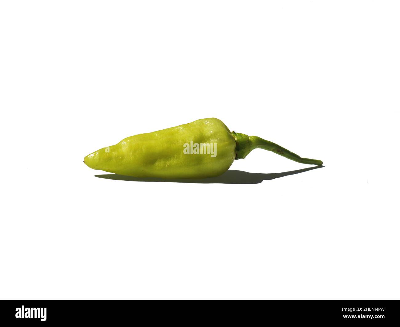 Piment vert sur fond blanc Banque D'Images