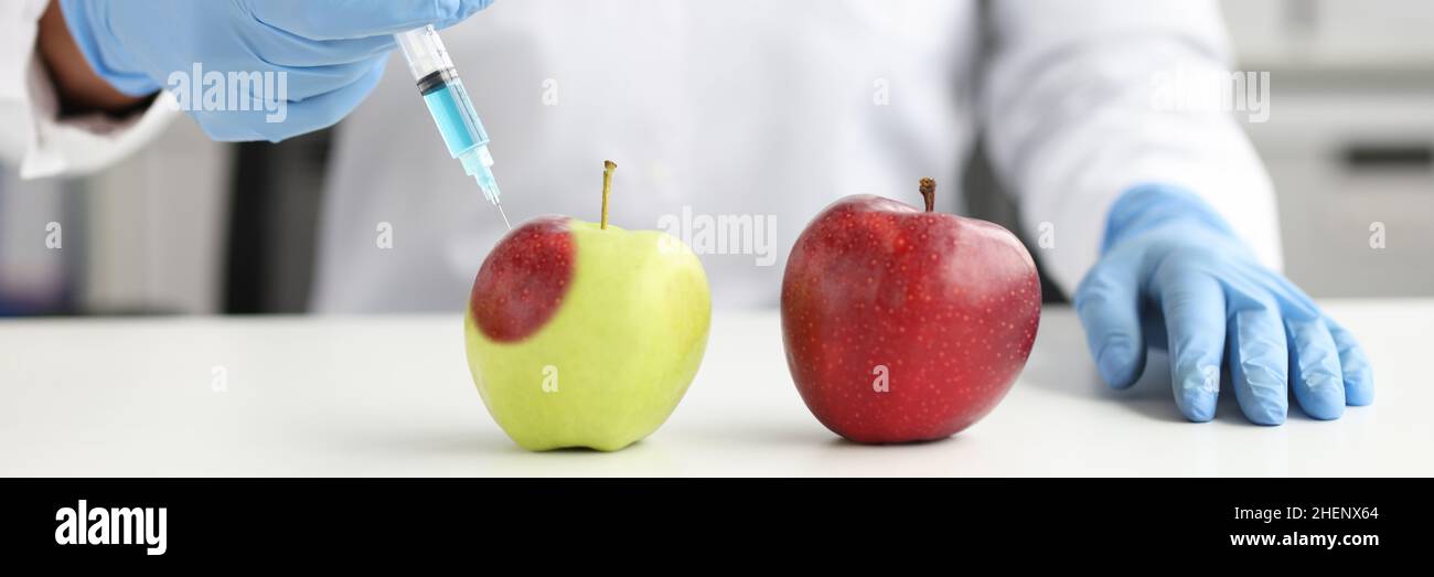 Le scientifique en laboratoire fait l'injection dans la pomme de ferme Banque D'Images