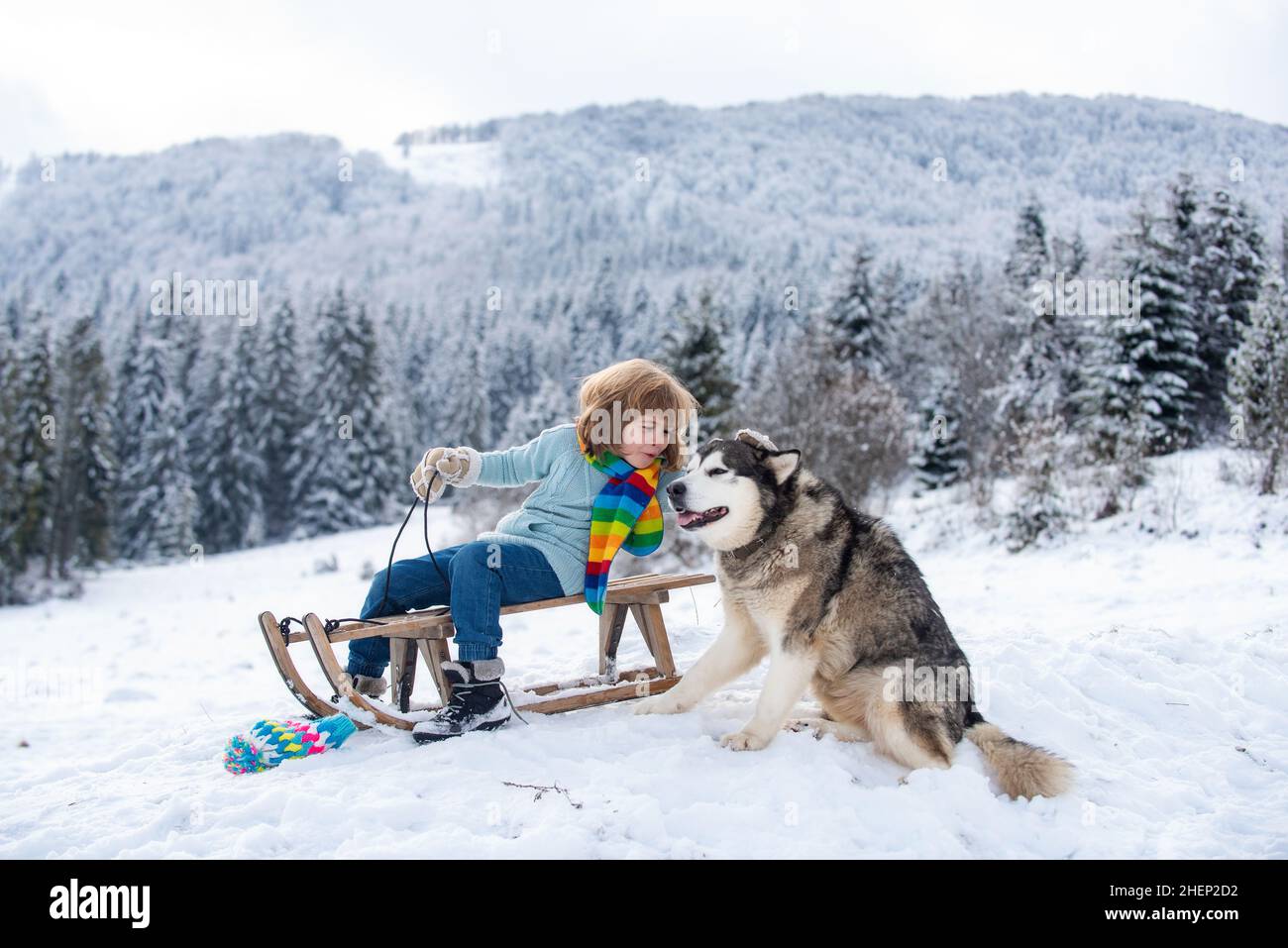 Drôle de garçon avec chien s'amuser avec un traîneau dans les bois de forêt d'hiver.Joli chien tendre.Les enfants adorent les animaux de compagnie. Banque D'Images