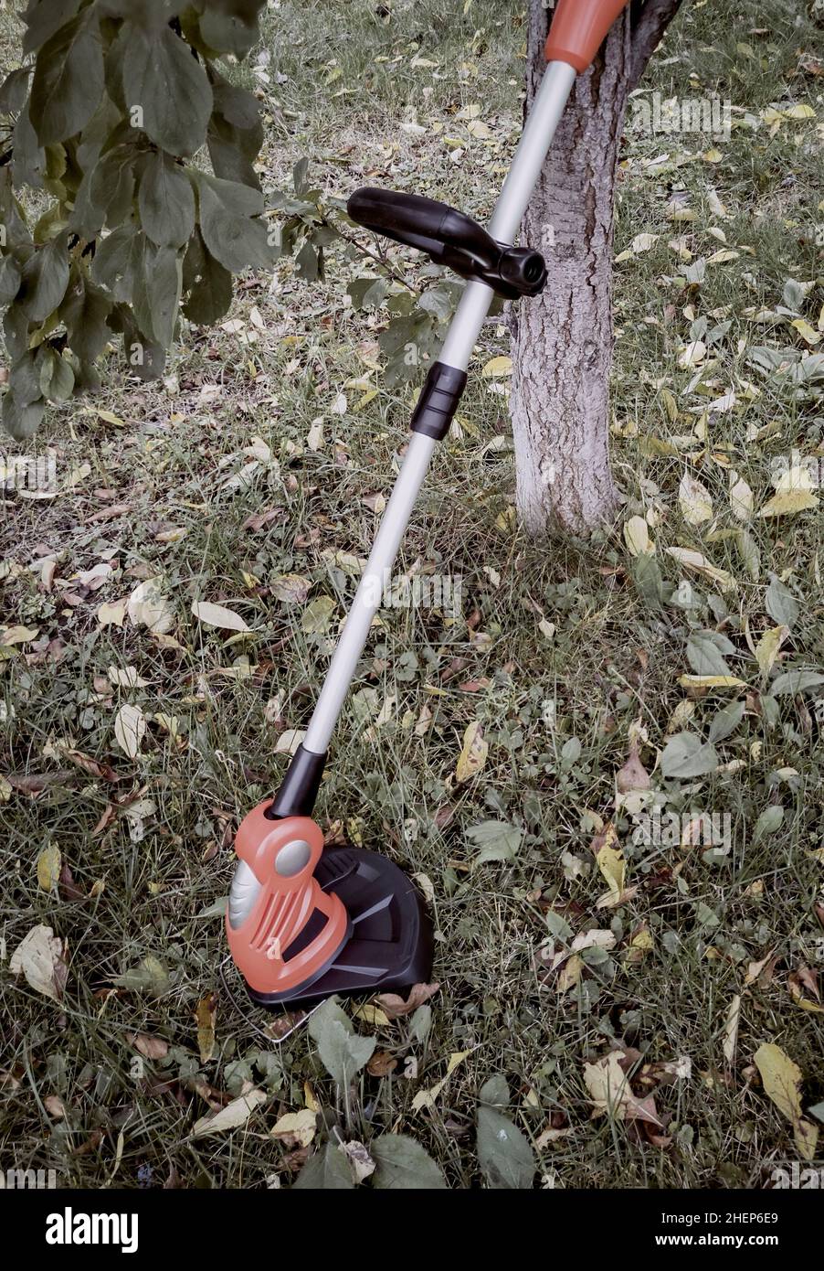 Appareils électroménagers : tondeuse-tondeuse pour couper des pelouses sur des batteries rechargeables.Présenté sur un fond d'herbe et de feuilles, vue avant, Banque D'Images