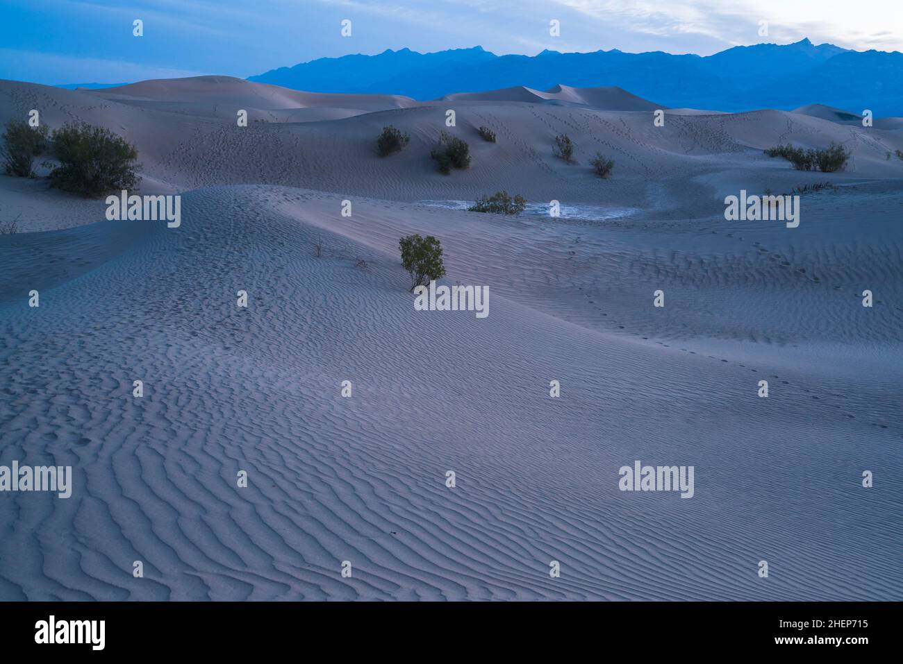 Magnifique paysage de dunes de sable mésand Flat. Parc national de Death Valley, Californie, États-Unis. Banque D'Images