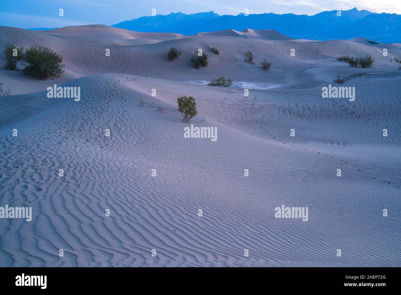 Magnifique paysage de dunes de sable mésand Flat. Parc national de Death Valley, Californie, États-Unis. Banque D'Images