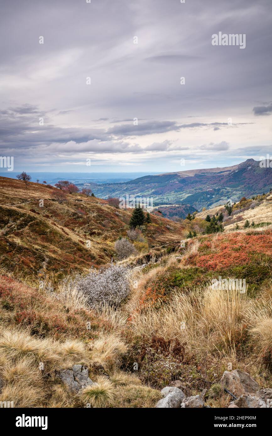 Vue sur la campagne sauvage d'Auvergne avec montagnes en arrière-plan Banque D'Images