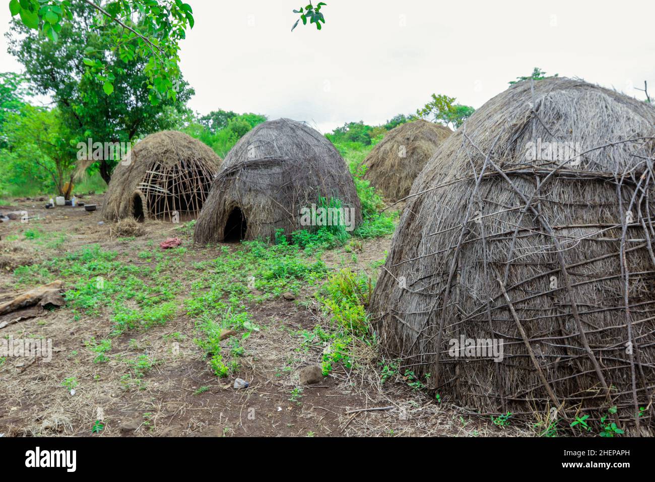 Maisons traditionnelles dans le village de la tribu Mursi, vallée d'Omo, Ethiopie Banque D'Images