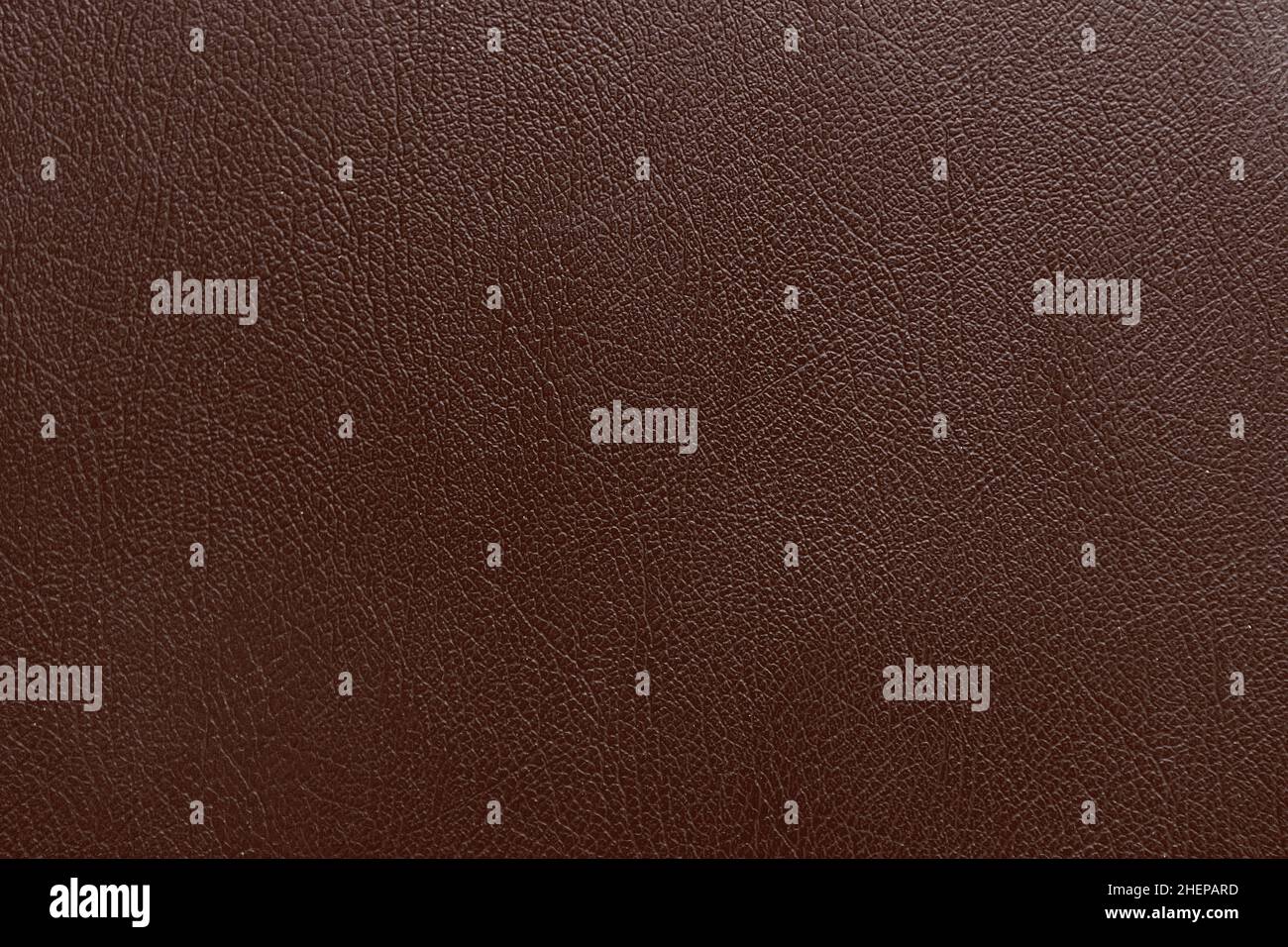 texture cuir, arrière-plan en cuir Banque D'Images