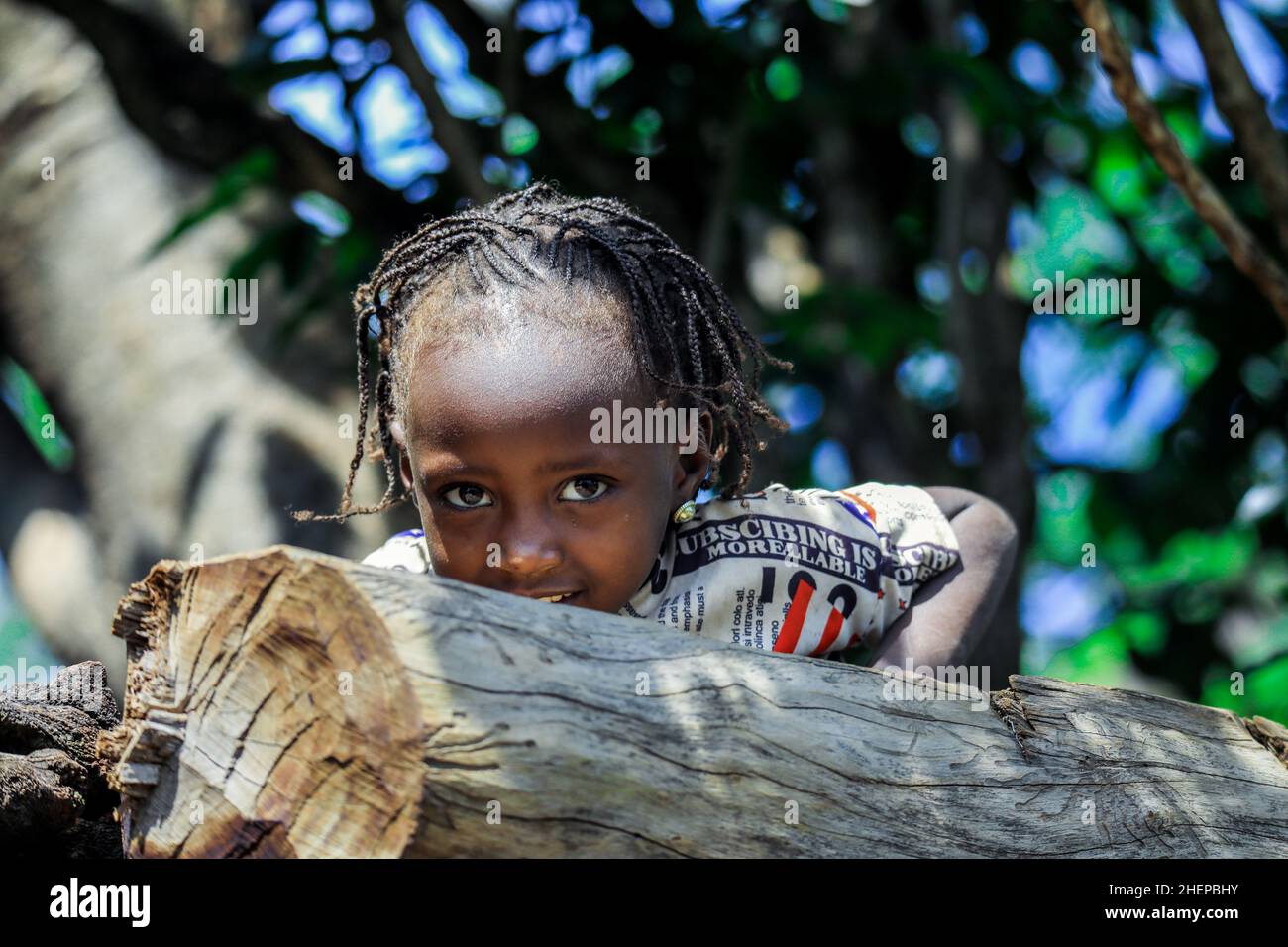 Jeunes enfants africains mignons dans le village tribal traditionnel de Konso Banque D'Images