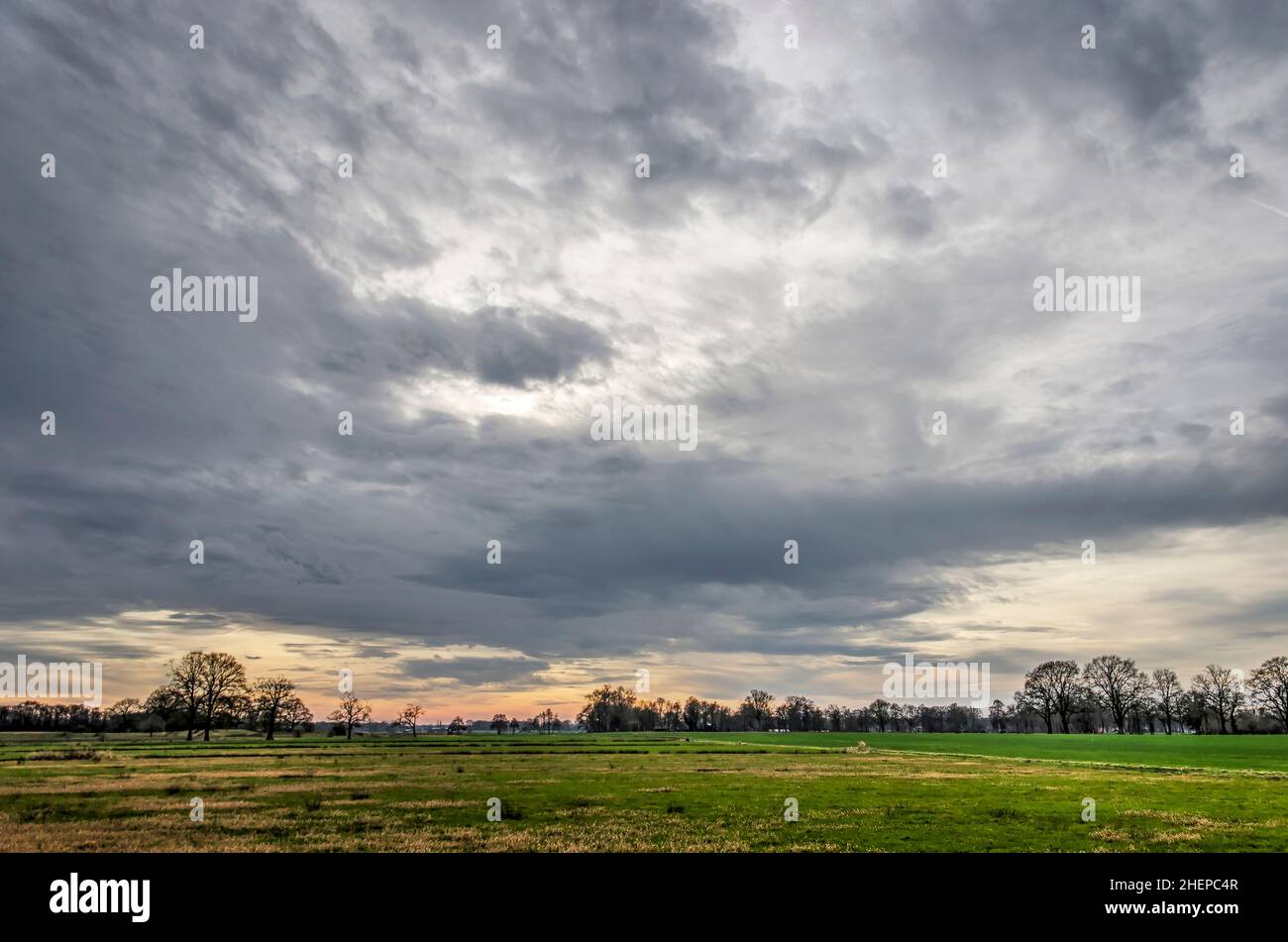 Ciel spectaculaire sur un paysage plat avec des champs, des prairies et des arbres et buissons dispersés près de Hardenberg, aux pays-Bas Banque D'Images