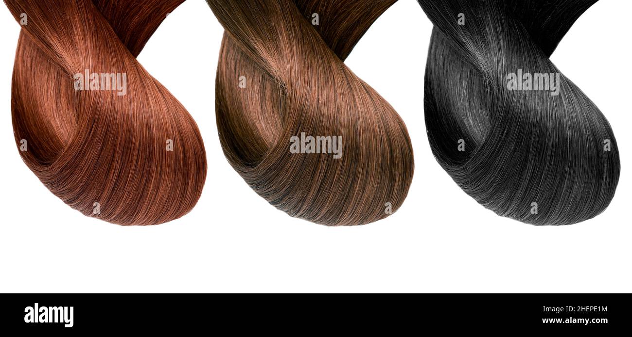Palette de couleurs naturelles de cheveux , différentes couleurs isolées sur fond blanc , beauté Banque D'Images