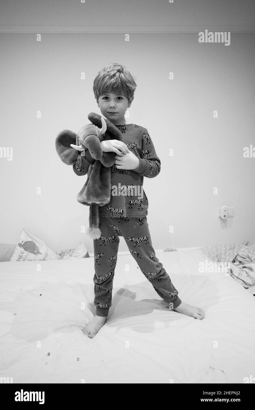 Perry et Ele Banque D'Images