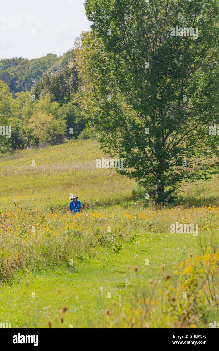 Un individu d'âge moyen peut faire de l'exercice en plein air de qualité en marchant sur les sentiers d'une réserve naturelle du comté de Door, Wisconsin, lors d'une chaude journée d'automne. Banque D'Images