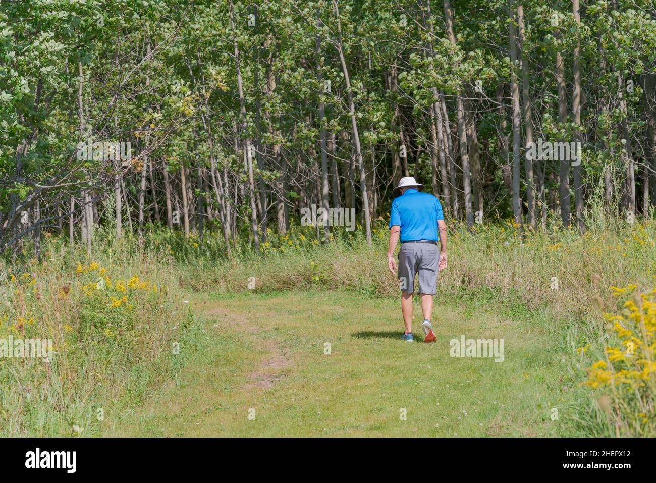 Un individu d'âge moyen peut faire de l'exercice en plein air de qualité en marchant sur les sentiers d'une réserve naturelle du comté de Door, Wisconsin, lors d'une chaude journée d'automne. Banque D'Images