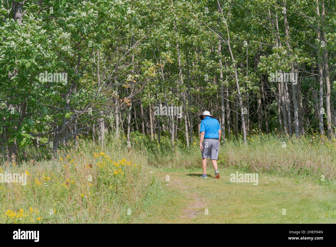 Un individu d'âge moyen peut faire de l'exercice en plein air de qualité en marchant sur les sentiers d'une réserve naturelle du comté de Door, Wisconsin, lors d'une chaude journée d'automne. Banque D'Images