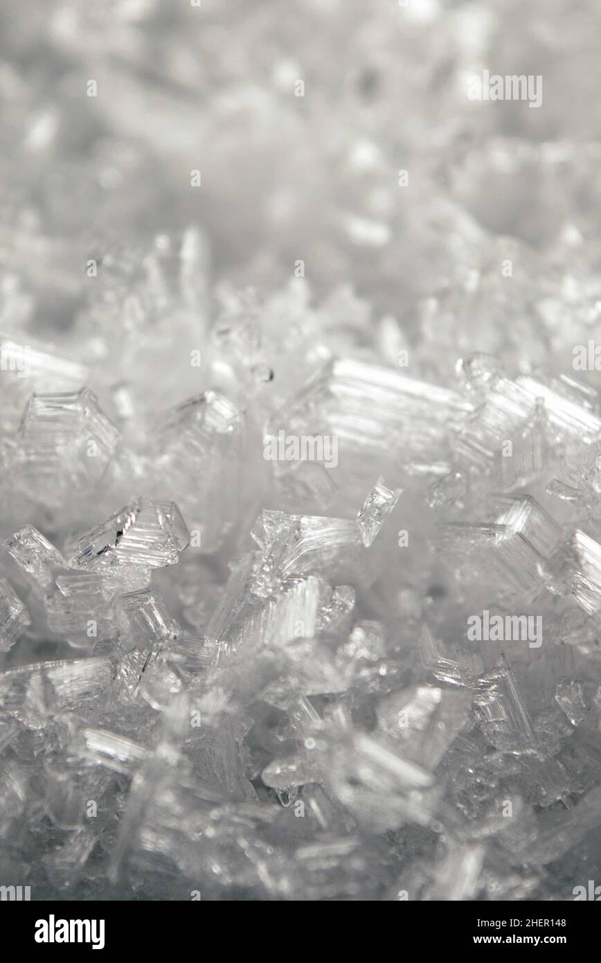 feuille de cristaux de glace Banque D'Images