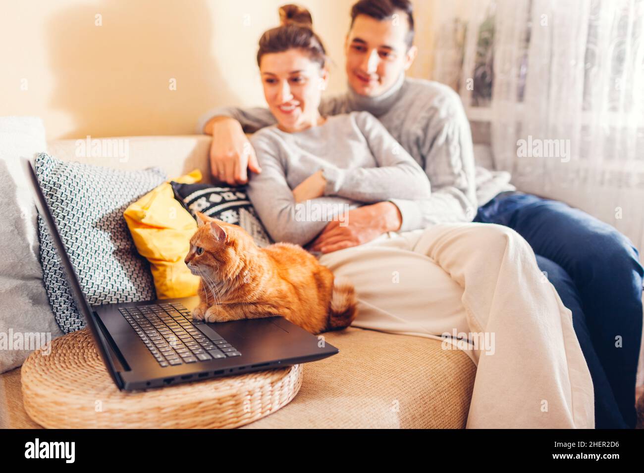 Couple de jeunes familles regardant la vidéo en ligne avec un chat utilisant un ordinateur portable à la maison.Un animal de compagnie au gingembre assis sur un canapé qui regarde l'écran.Curieux animal intéressé par f Banque D'Images