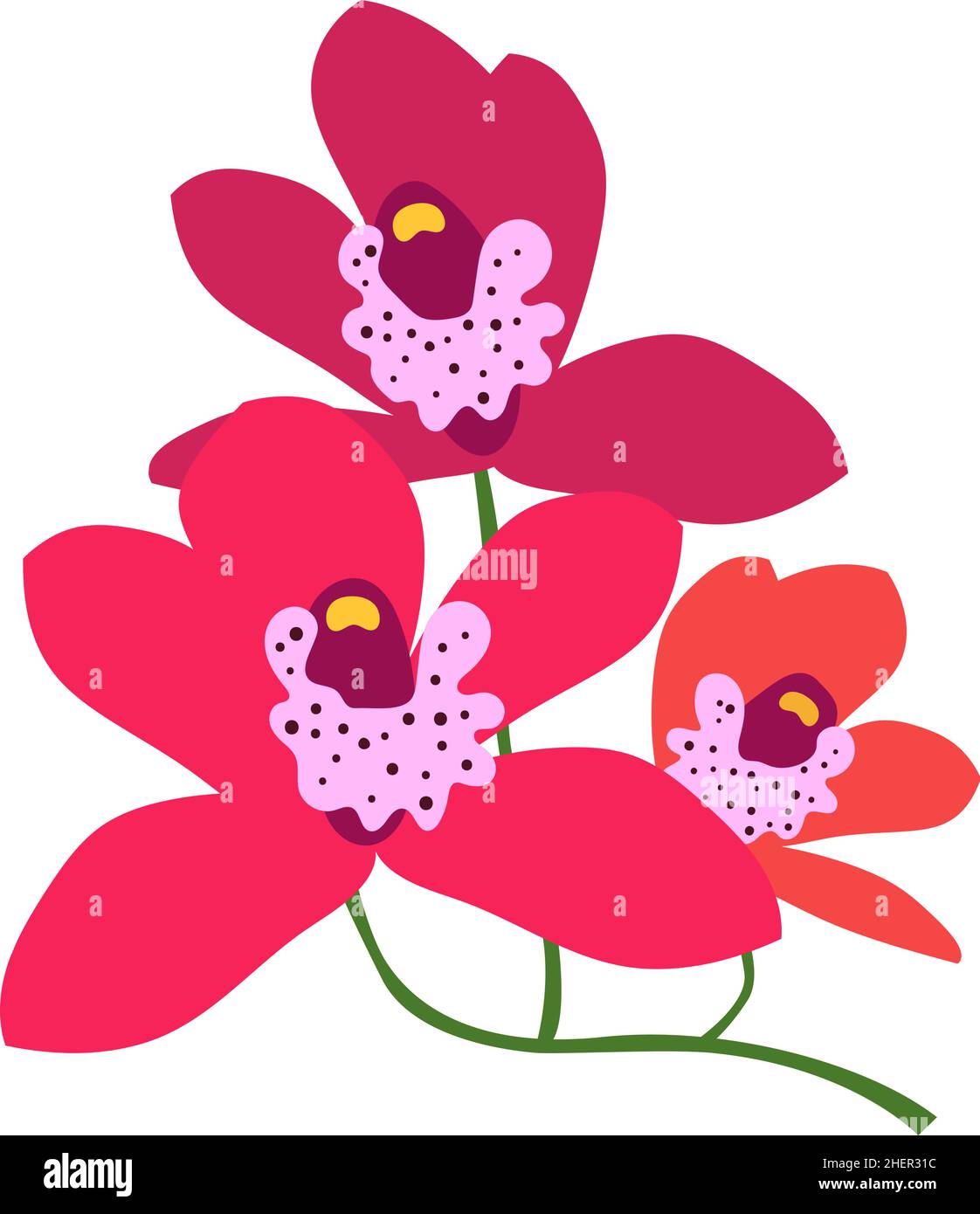 Fleur rouge vif.Plante d'orchidée de forêt tropicale Illustration de Vecteur