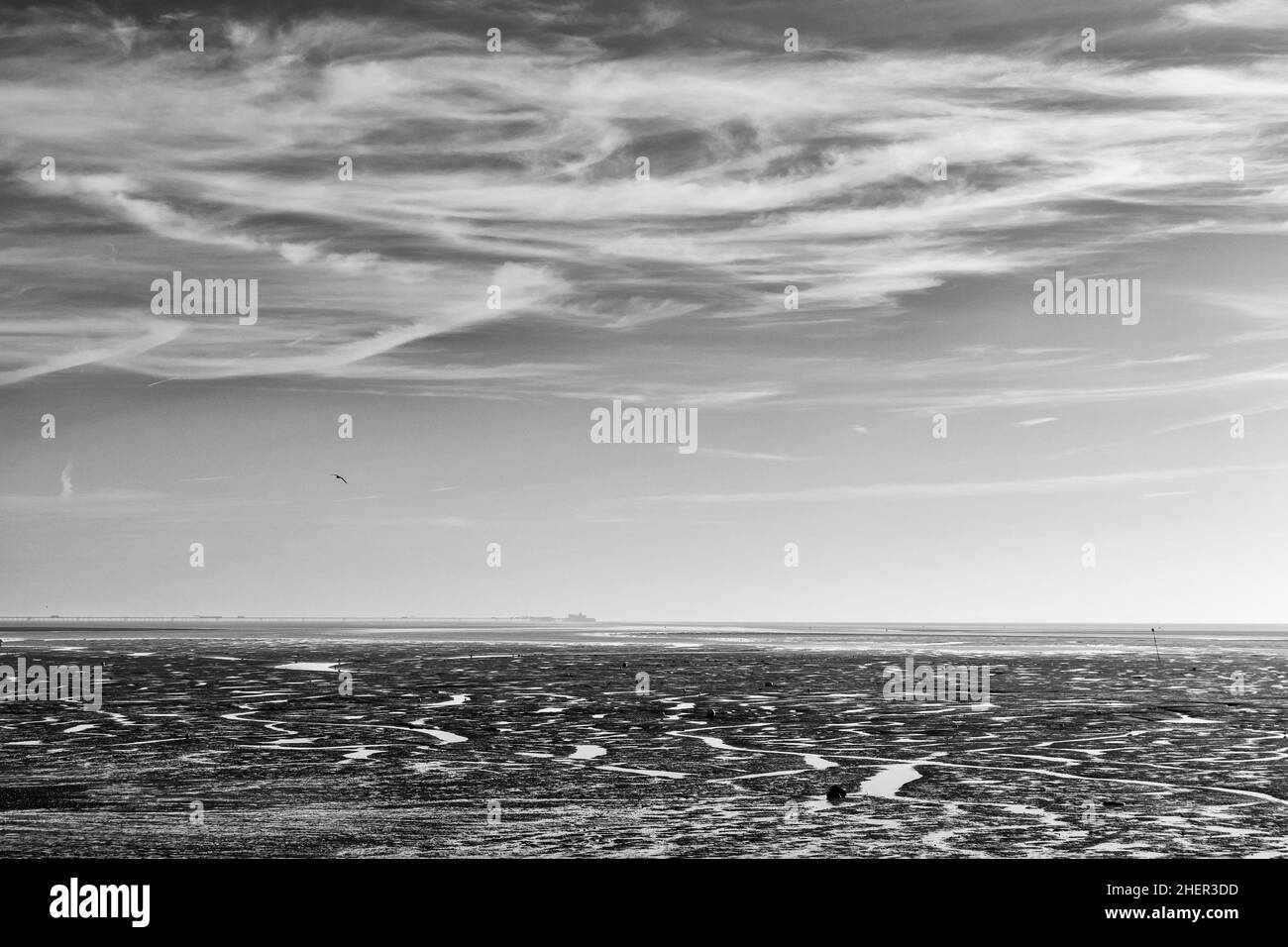 Un matin de janvier clair et éclatant surplombant l'estuaire de la Tamise depuis Chalkwell dans l'Essex avec Southend Pier en arrière-plan en noir et blanc Banque D'Images