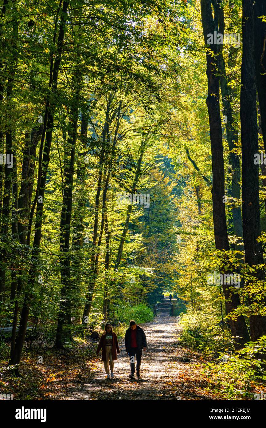 Varsovie, Pologne - 3 octobre 2021 : paysage du début de l'automne de la forêt de Las Kabacki avec des gens qui profitent de la promenade en plein air dans le quartier d'Ursynow à Varsovie Banque D'Images