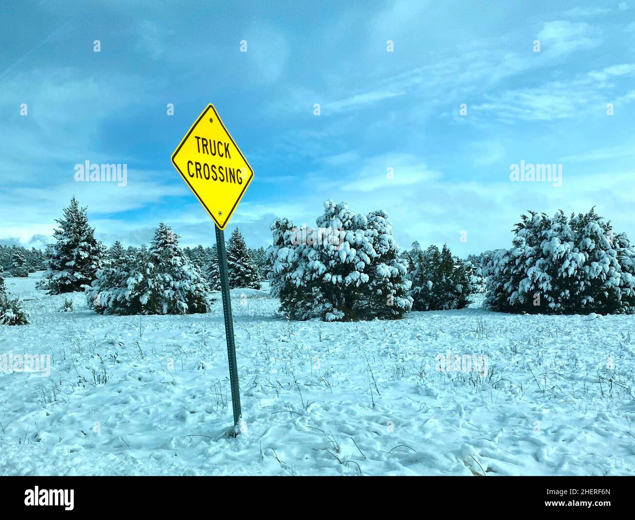Vue sur un paysage enneigé le long d'une route du nord de l'Arizona avec un panneau jaune vif Truck Crossing au premier plan et des arbres enneigés à l'arrière. Banque D'Images