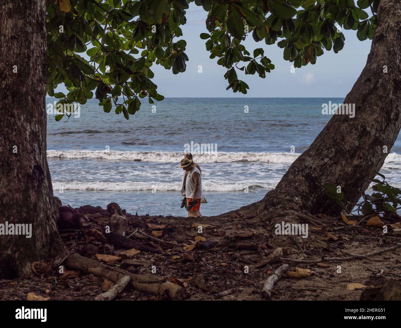 Deux hommes marchant sur une plage des Caraïbes à Playa Cahuita, Costa Rica encadré par deux grands arbres. Banque D'Images