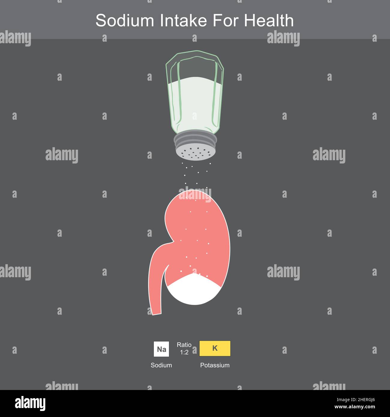 Apport en sodium pour la santé.Une bouteille de sel et figure de dessin animé de rein pour à propos d'expliquer le corps approprié d'apport de sodium. Illustration de Vecteur
