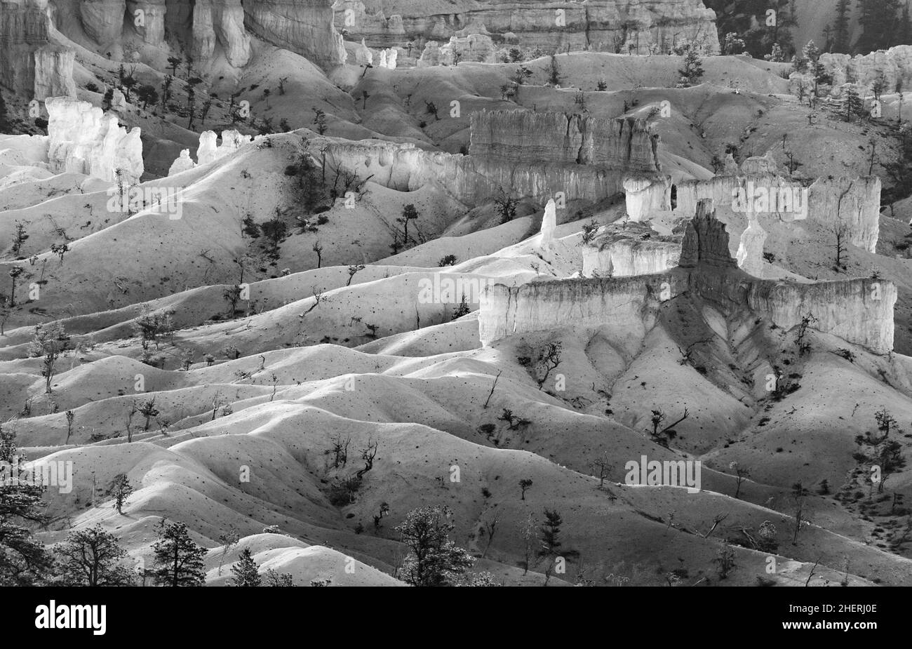 Beau paysage à Bryce Canyon avec magnifique pierre formation comme amphithéâtre, des temples, des chiffres dans la lumière du matin Banque D'Images