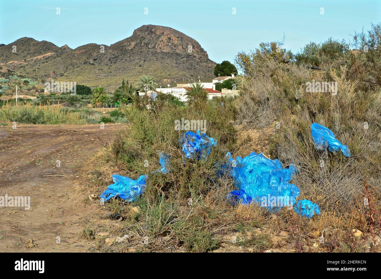 Bâche en plastique bleu froissés au bord d'un champ, déchets en plastique de l'agriculture, Andalousie Banque D'Images